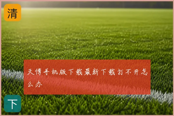 天傅手机版下载最新下载打不开怎么办