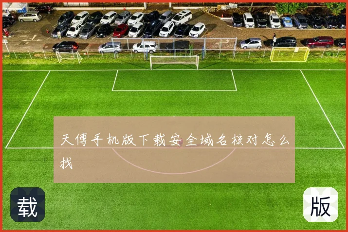 天傅手机版下载安全域名核对怎么找