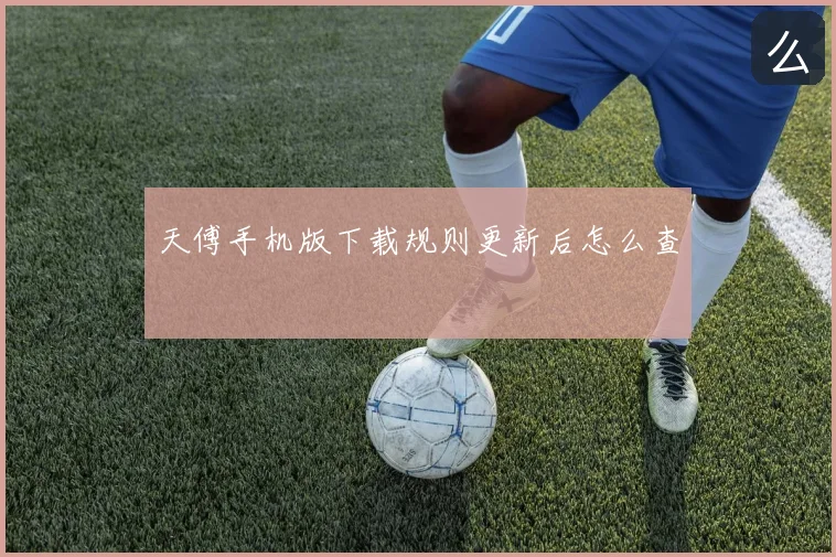 天傅手机版下载规则更新后怎么查