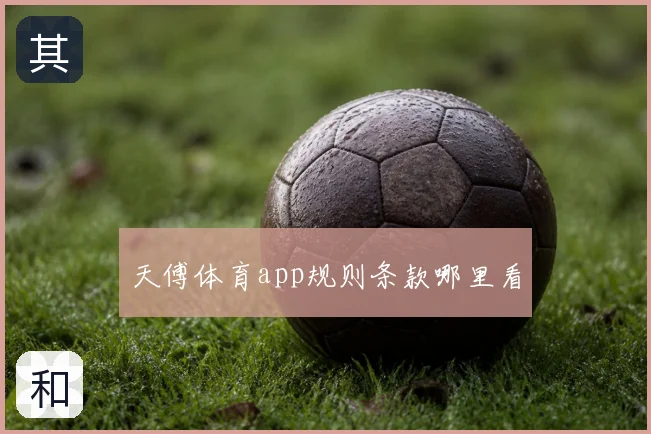 天傅体育app规则条款哪里看